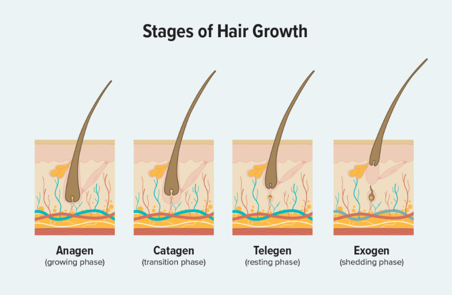 10 Proven Tips for Faster Hair Growth: A Beginner’s Guide